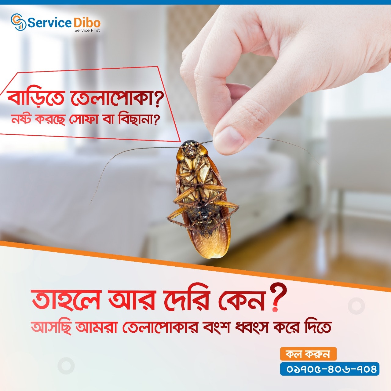 Service Dibo Uttara