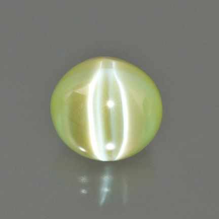 Fotos de Tajmahal Gems World